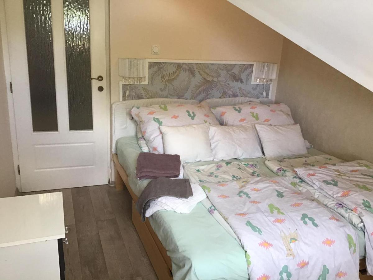Family Wellness Apartman Hajdúszoboszló المظهر الخارجي الصورة