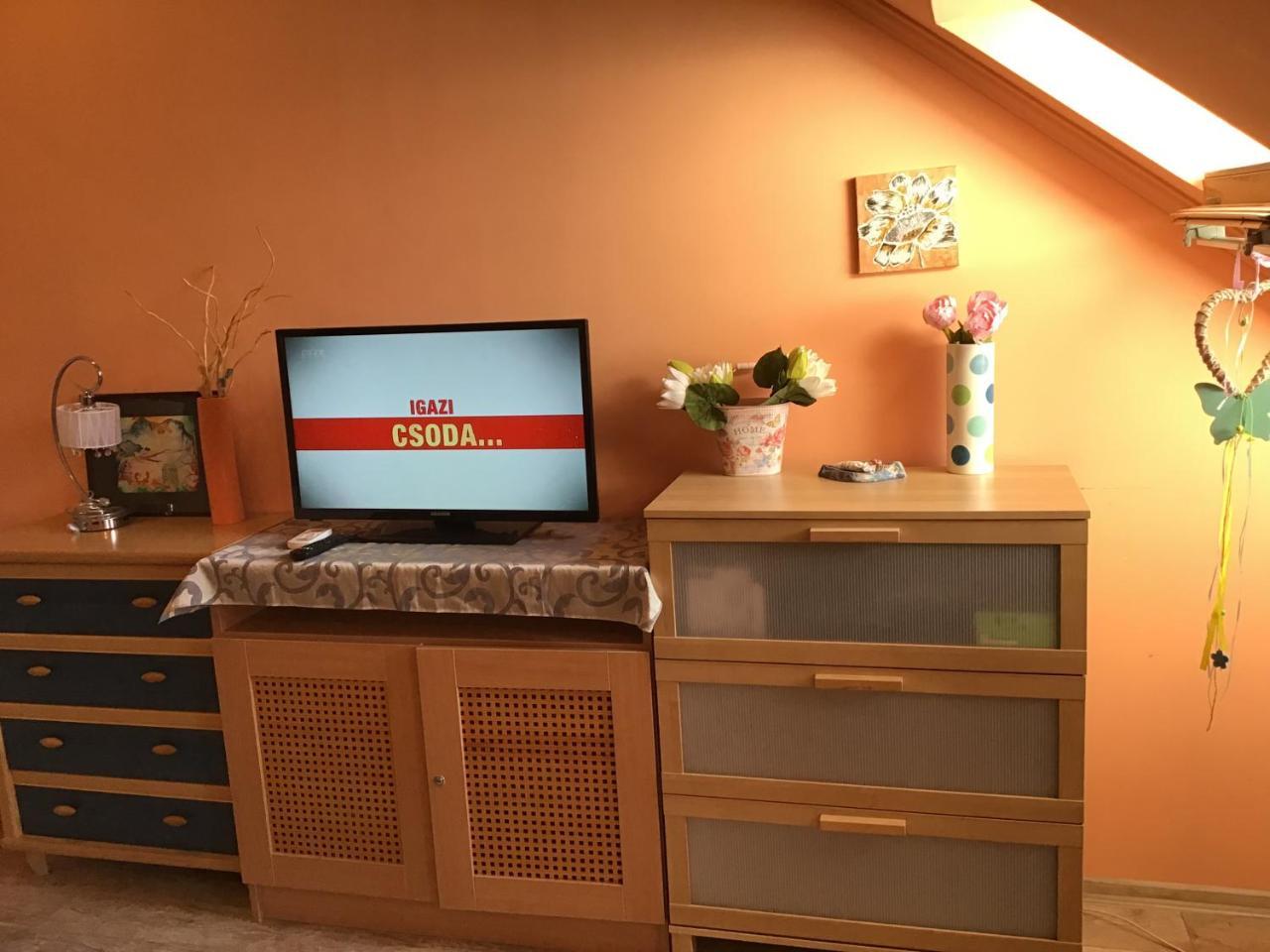 Family Wellness Apartman Hajdúszoboszló المظهر الخارجي الصورة